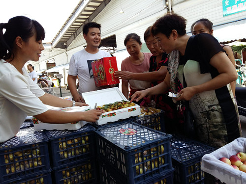 必一运动bsport体育