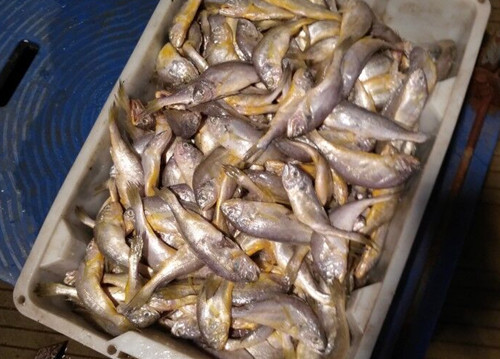 必一运动bsport体育