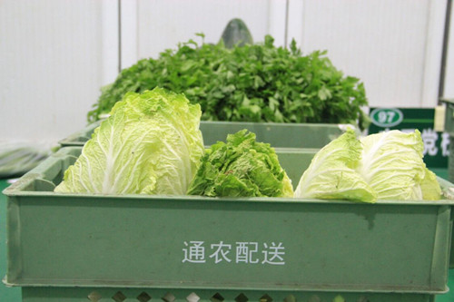 必一运动bsport体育