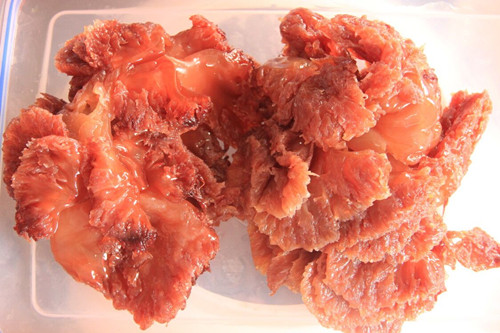 必一运动bsport体育