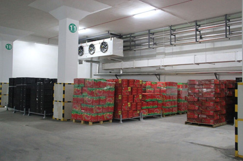 必一运动bsport体育