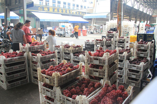 必一运动bsport体育