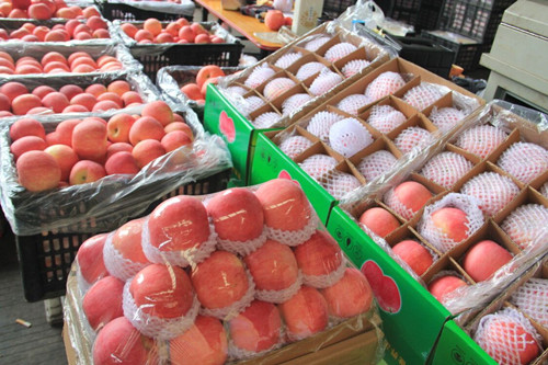 必一运动bsport体育