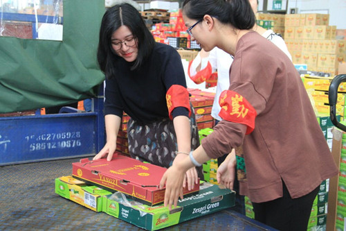 必一运动bsport体育