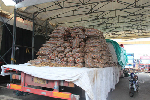 必一运动bsport体育