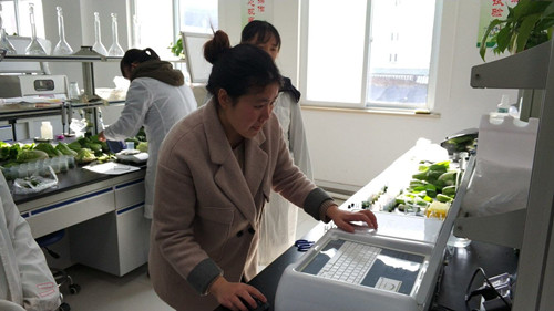 必一运动bsport体育