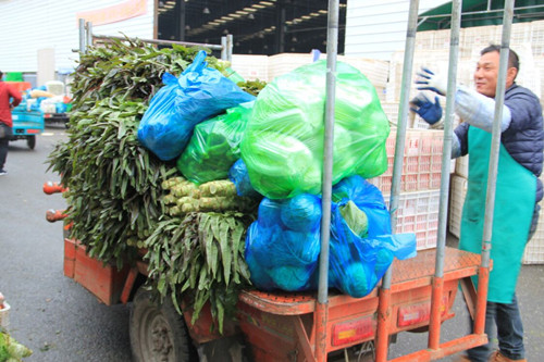 必一运动bsport体育