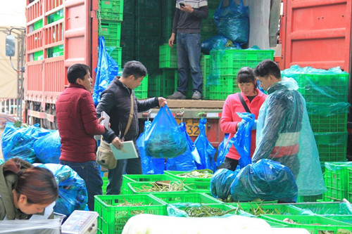 必一运动bsport体育