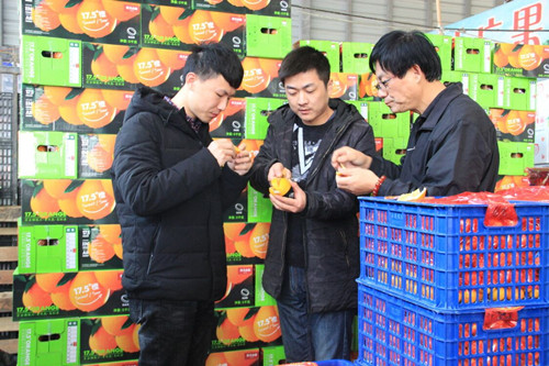 必一运动bsport体育