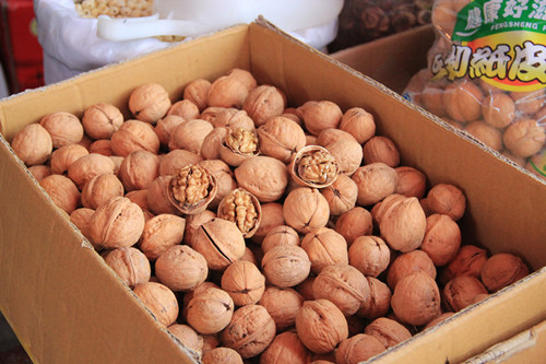 必一运动bsport体育