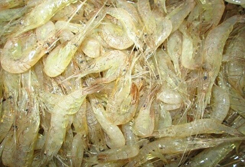 必一运动bsport体育