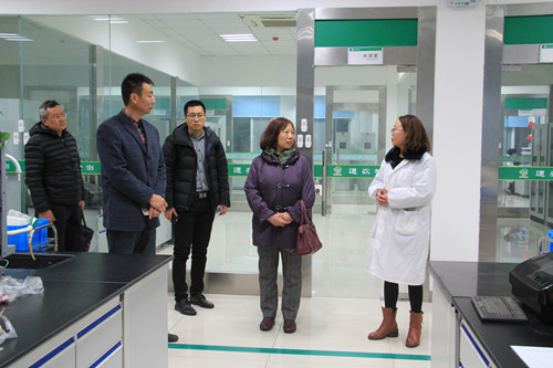 必一运动bsport体育