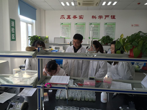 必一运动bsport体育