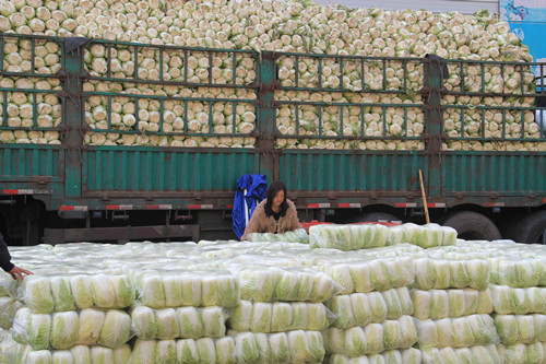 必一运动bsport体育