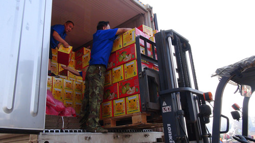 必一运动bsport体育