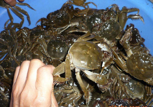 必一运动bsport体育