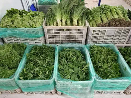 必一运动bsport体育