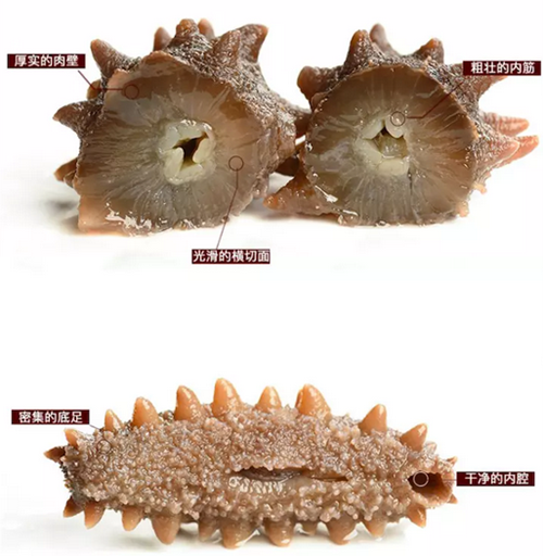 必一运动bsport体育