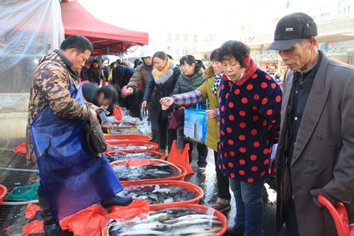 必一运动bsport体育