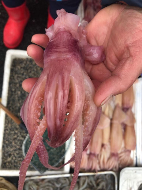 必一运动bsport体育