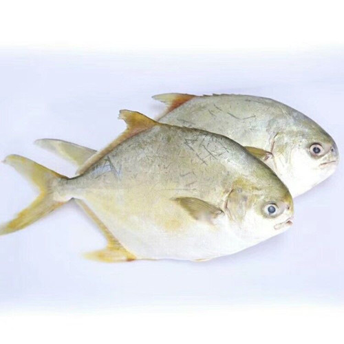 必一运动bsport体育