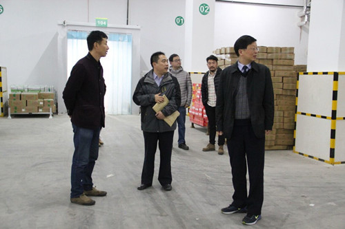 必一运动bsport体育