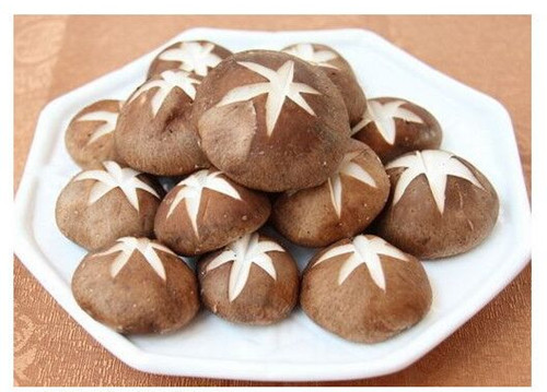 必一运动bsport体育