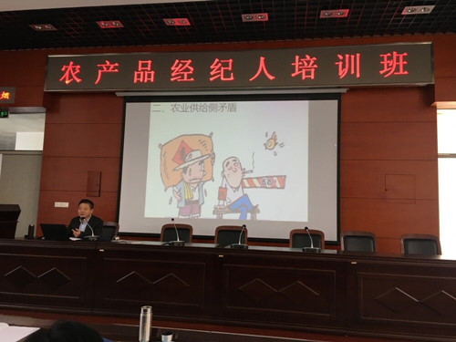 必一运动bsport体育