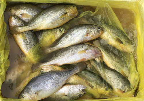 必一运动bsport体育