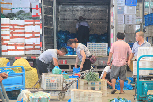 必一运动bsport体育