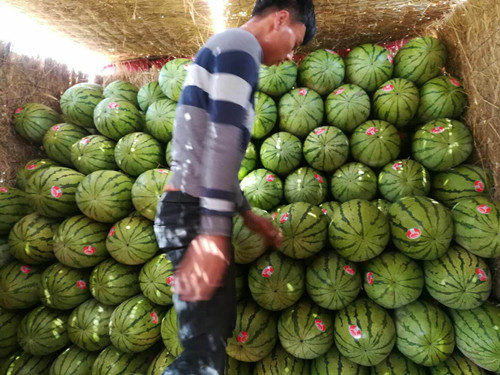 必一运动bsport体育