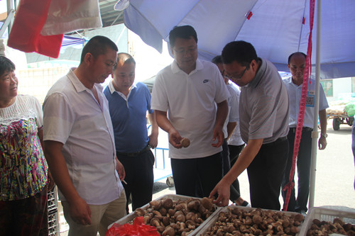 必一运动bsport体育