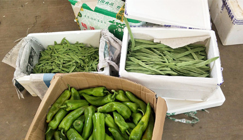 必一运动bsport体育