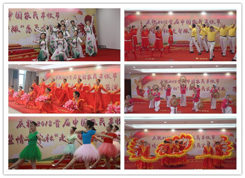 必一运动bsport体育