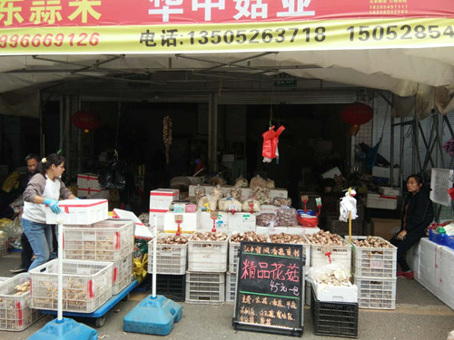 必一运动bsport体育