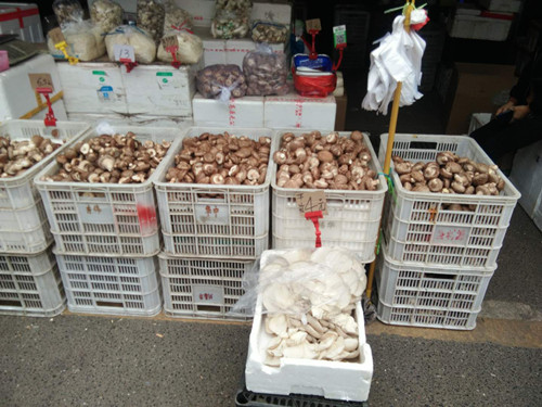 必一运动bsport体育