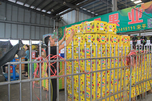 必一运动bsport体育