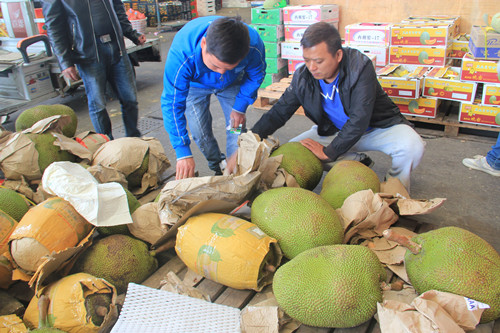 必一运动bsport体育