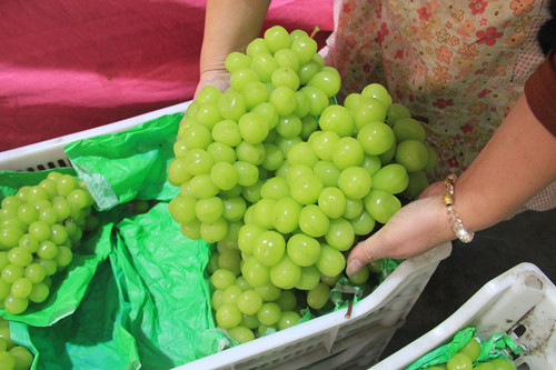 必一运动bsport体育