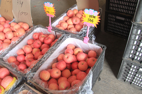 必一运动bsport体育