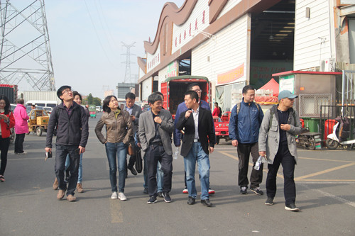 必一运动bsport体育