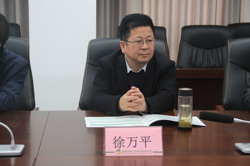 必一运动bsport体育