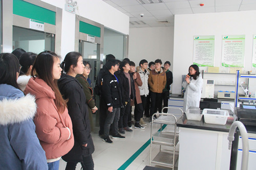 必一运动bsport体育