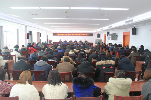 必一运动bsport体育