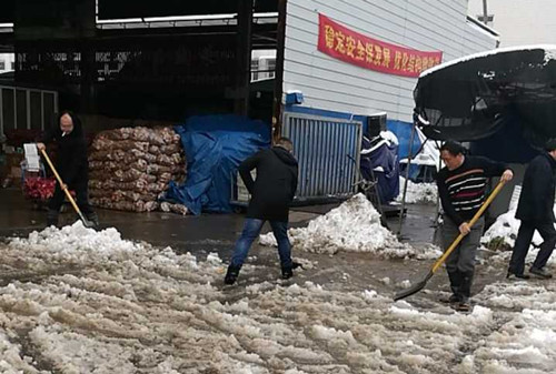 必一运动bsport体育