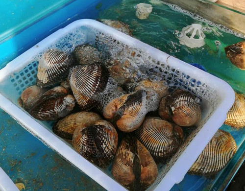 必一运动bsport体育