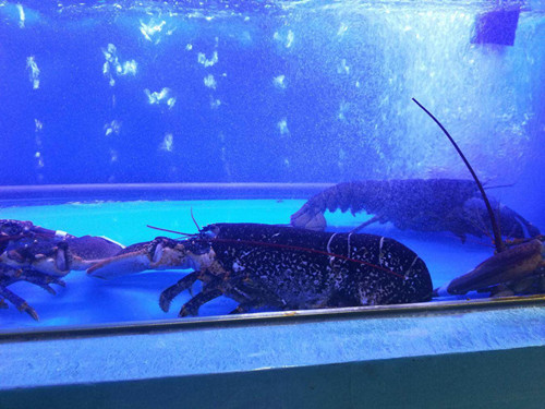 必一运动bsport体育