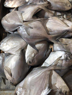 必一运动bsport体育