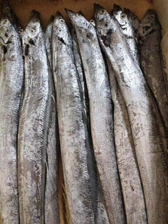 必一运动bsport体育