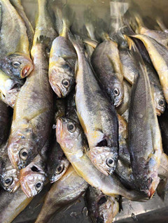 必一运动bsport体育